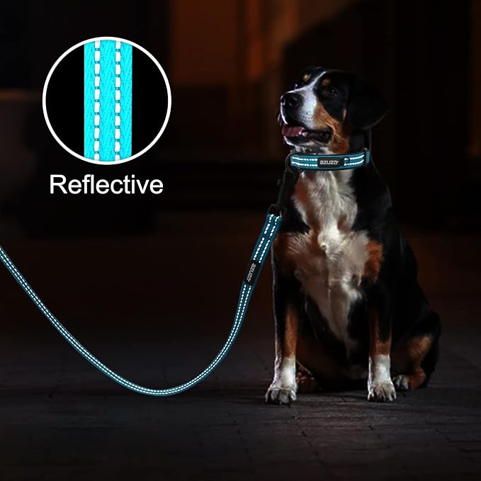 azuza Reflective Dog Collar, Neoprene Padded Small Dog Collar, S
