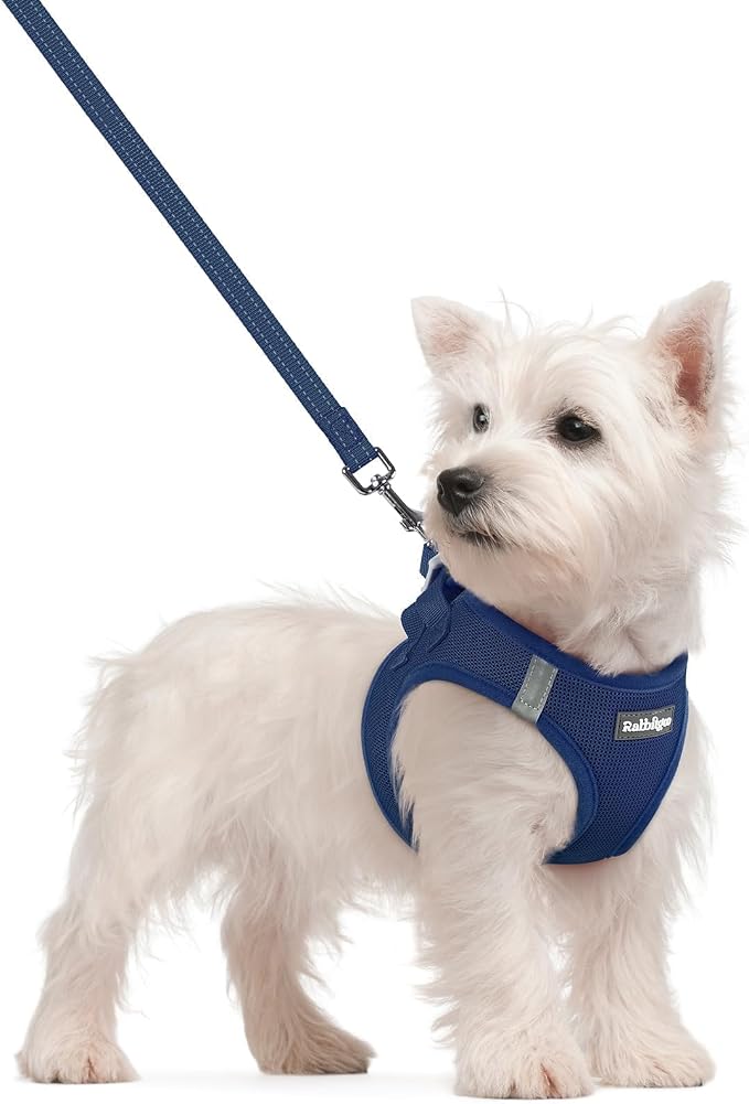 rabbitgoo Dog Harness Small Sized and Leash Set, Step-in Puppy Pet Vest | Light, Soft, Breathable Air Mesh, Easy on and Remove with Hook & Loop, Secure Reflective for Walking, Navy Blue S