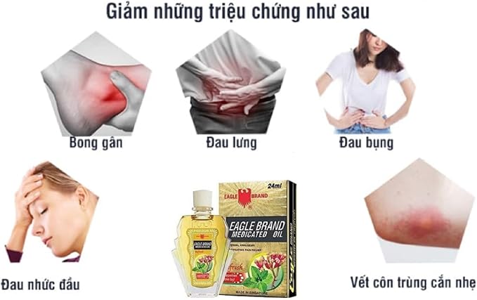 Case Set - Yellow Dozen Eagle Essentail Medicated Oil - Muoi Hai Chai Dau Con O Vang - 24mL per Bottle with 12 Bottles per Order - Made in Singapore