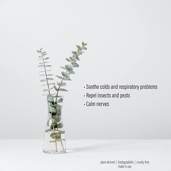 Pure Eucalyptus Oil Shower Mist and Steam Room Spray - Room Spray and Eucalyptus Spray for Shower - Premium Aromatherapy Essential Oil Spray - 4 Ounce, 2 Pack