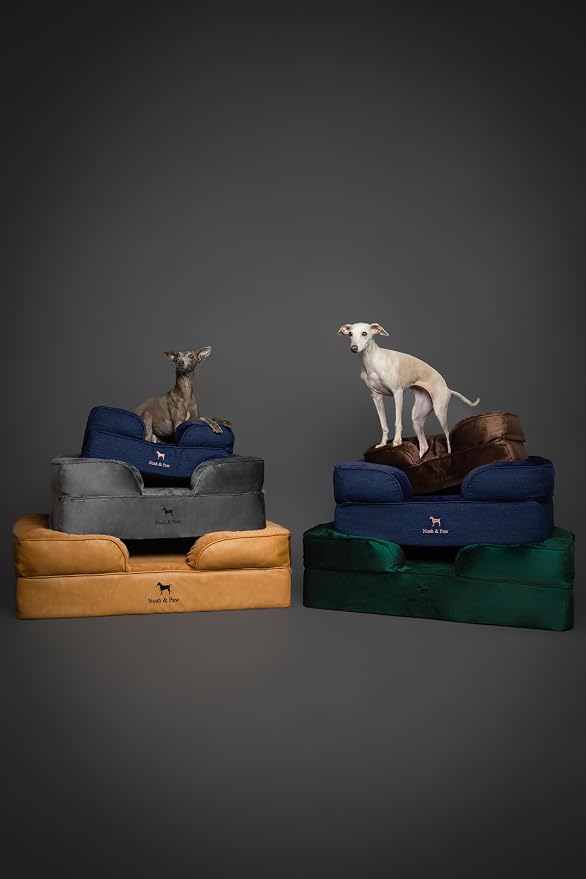 NOAH & PAW XL Dog Bed, 45x35x11 Inch, Orthopedic Large Dog Beds, Eggshell Memory Foam Infused with Cooling Gel, Inner Cover, Water Resistant, Machine Washable (Velvet Sofa Collection)