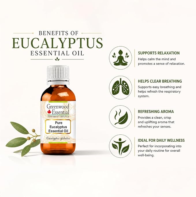 Greenwood Essential Pure Eucalyptus Essential Oil (Eucalyptus globulus) Steam Distilled (Pack of Two) 100ml X 2 (6.76 oz)