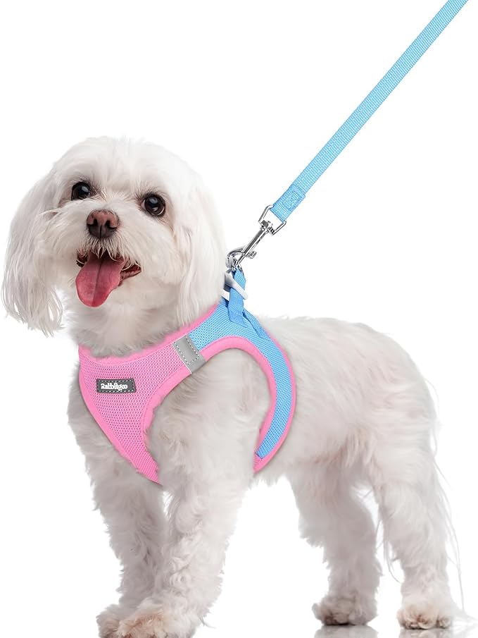 rabbitgoo Dog Harness Small Sized and Leash Set, Step-in Puppy Pet Vest | Light, Soft, Breathable Air Mesh, Easy on and Remove with Hook & Loop, Secure Reflective for Walking, Blue & Light Pink M