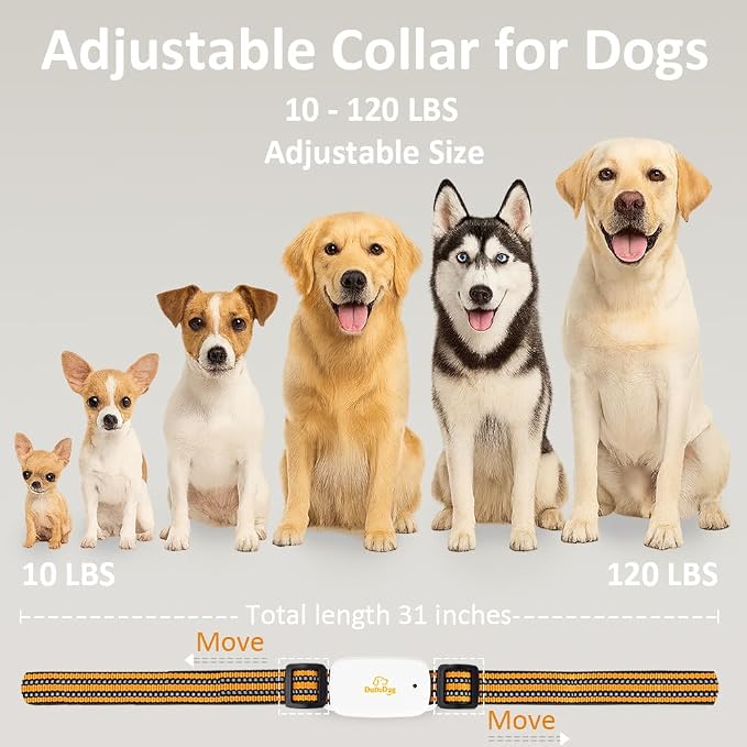 Adjustable Shock Levels Dog Training Collar with 9.8 FT Retractable Leash – Remote E-Collar for 2 Dogs, 3200 FT Range, Color Screen, Beep Vibration Static, IP67 Waterproof, USB-C Rechargeable