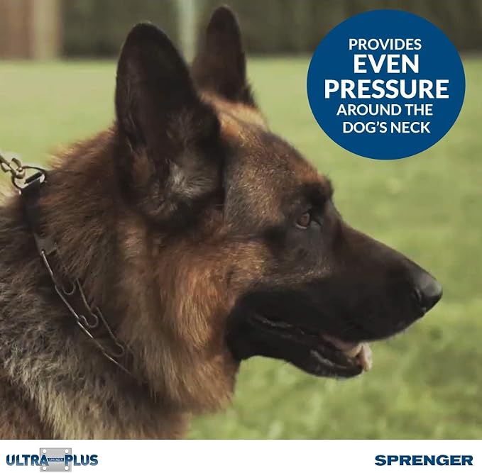 Herm Sprenger Chrome Plated Steel Training Prong Collar with Quick Release Snap for Dogs, 21-22 in x 3mm, Neck Size UP to 18 inches