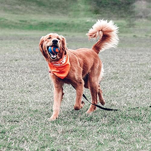 Chuckit! (3 Pack) Ultra Squeaker Ball, Large