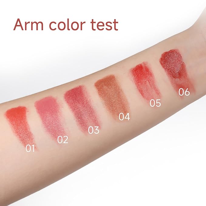 Matte Lipstick for Women, Long Lasting Moisturizing Lip Stain, Waterproof Lip Color Makeup (Salmon Pink)