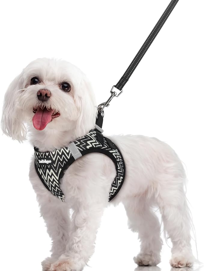 rabbitgoo Dog Harness Small Sized and Leash Set, Step-in Puppy Pet Vest | Light, Soft, Breathable Air Mesh, Easy on and Remove with Hook & Loop, Secure Reflective for Walking, Black Zigzag M
