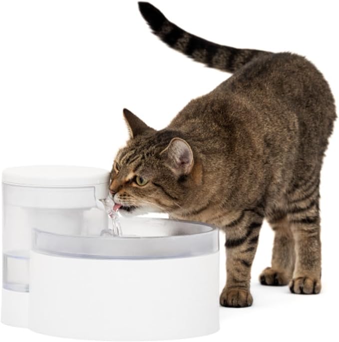 PetSafe Outlast Pumpless Cat Water Fountain, 60 oz/1.7L, Dishwasher Safe | Pumpless HydroSpin Design Circulates 60 Oz Water, Ion-x Carbon/Ion-Exchange Filter, Smart Sensors Slow Flow at Night