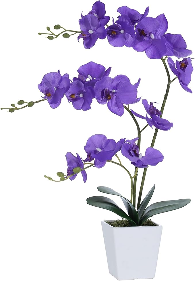 22" Purple Faux Orchid in Ceramic Vase for Table Décor | Real Look Potted Phalaenopsis, Ideal Centerpiece for Home, Office, or Indoor Display, Lifelike Silk Flowers, No Maintenance