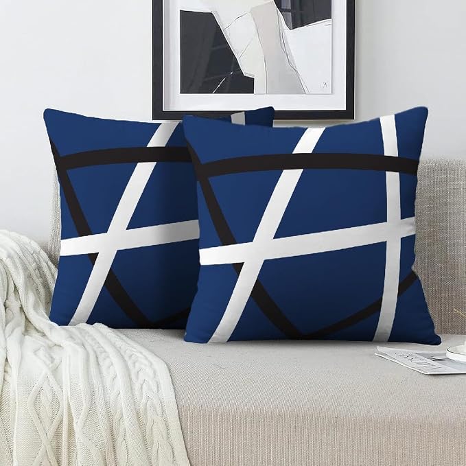 Modern Art Geometric Pillow Cover, Decorative Throw Pillow Covers Blue White Abstract Artwork Cushion Cover for Bedroom Sofa Living Room 24 x 24 Inch Set of 2