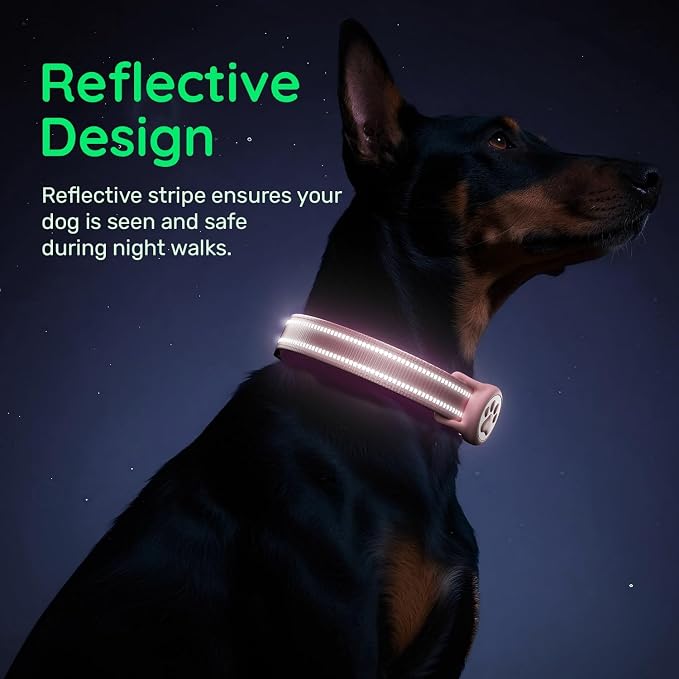 Premium Airtag Dog Collar，with IP68 Waterproof AirTag Holder,Pink,XS | Soft,Breathable,Nylon Padded,Reflective,Ultra-Durable Buckle,Adjustable,Comfortable for Small Medium Large Dogs