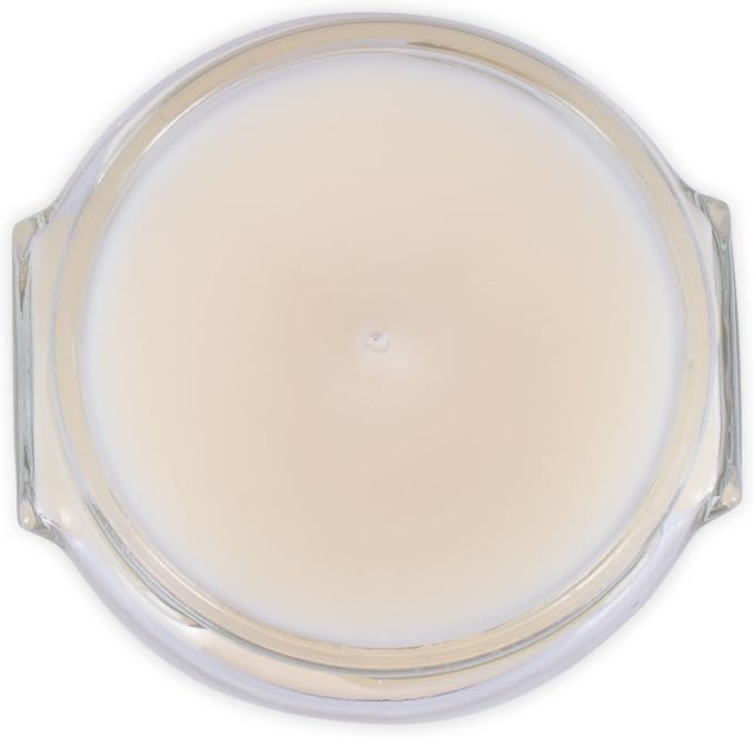 Elanze Designs Tyler Candle Resort 11 Ounce and Limelight 3.4 Ounce Aromatherapy Scented Candles; Set of 4