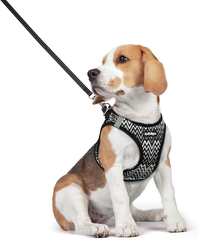 rabbitgoo Dog Harness Medium Sized and Leash Set, Step-in Puppy Pet Vest | Light, Soft, Breathable Air Mesh, Easy on and Remove with Hook & Loop, Secure Reflective for Walking, Black Zigzag L