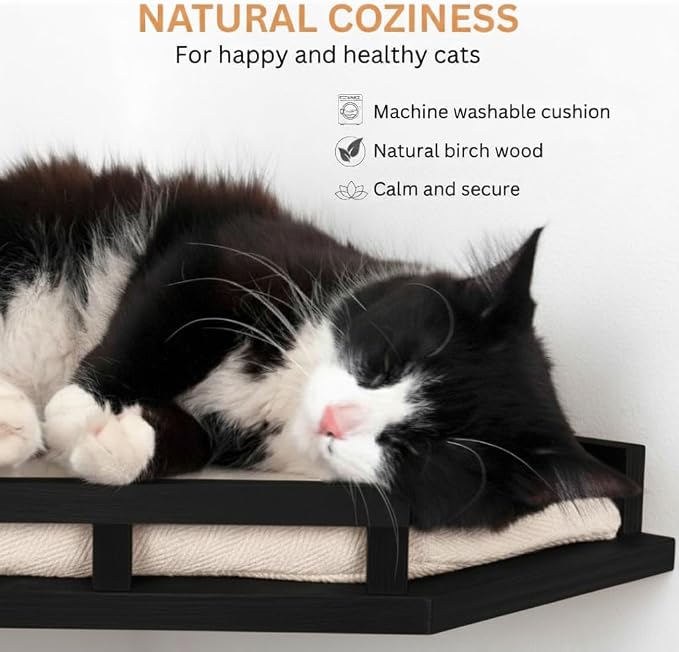 INICIO Cat Wall Shelves - Corner Shelf with 3 Cat Wall Steps - Black | Safe and Sturdy Cat Shelves for wall, Steps and Shelf for Indoor Cats up to 15lbs - Cushioned Perch for Climbing and Playing