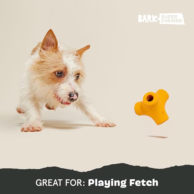 BarkBox Coral Teef Dog Toy