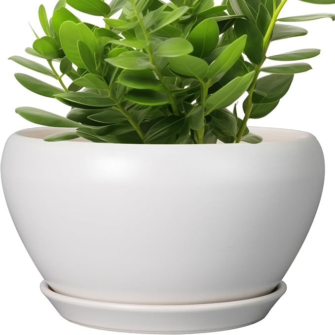 Ceramicfor Ceramic Planter for Indoor Plants - 11 Inch Plant Pot with Drainage Hole and Saucer Decorative Round Large Planter Pot for Plants Outdoor Flower Pot for Garden White