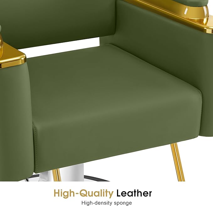 BarberPub Luxurious Salon Chair, Height Adjustable Gold&Green Salon Beauty Spa Styling Equipment, 440lbs Hydraulic Pump for Hair Stylist, Barber Shops&Beauty Salons 8633 (Green)