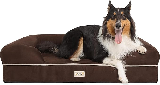 Friends Forever X-Large Dog Bed, Orthopedic Dog Sofa Memory Foam Mattress, Calming Dog Couch Bed, Wall Rim Pillow, Water Resistant Liner, Washable Cover, Non-Slip Bottom, Chester, X-Large Cocoa Brown