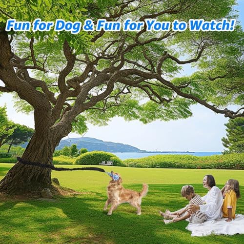 LOOBANI Outdoor Bungee Tug Toy, Interactive Dog Door/Tree Hanging Toys