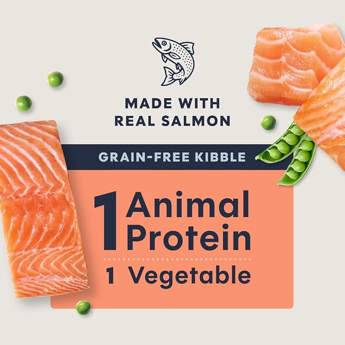 Instinct Limited Ingredient Diet Dry Cat Food, Real Salmon, 4.5 lb. Bag | Single animal protein and vegetable recipe, raw-coated kibble, wild-caught salmon, gentle on sensitive stomachs