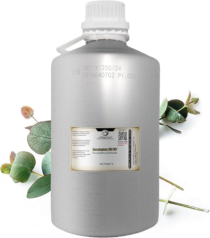 Eucalyptus Globulus 80/85 Essential Oil - 100% Natural Essential Oil - Premium Quality Home Essential Diffuser Oil for Aromatherapy and Skin Care - from China 1 Gal (Net Wt. 3.5 kg / 7.7 lb)