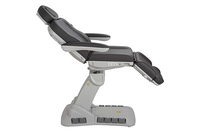 Silver Fox - Facial Chair for Esthetician, Electric Spa Treatment Chair with 4 Motors, Professional Beauty Bed, Adjustable Salon Treatment Table with 240° Rotation - 2246EB, Gray