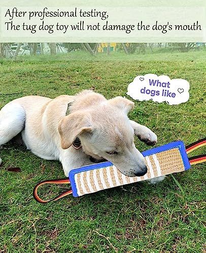 Clysoru Dog Tug Toy Tough Jute Bite Pillow Lasting Training Equipment Puppy to Large Dogs Interactive for Large and Small