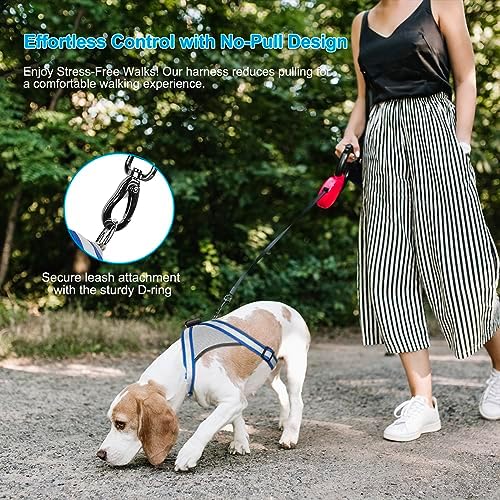 Visinite LED Dog Harness, USB Rechargeable Light Up Dog Vest, 2 Illuminate Modes Glow in The Dark Dog Harness, Adjustable Lighted Pet Harness Light for Night Walking Safety(Blue, XL)
