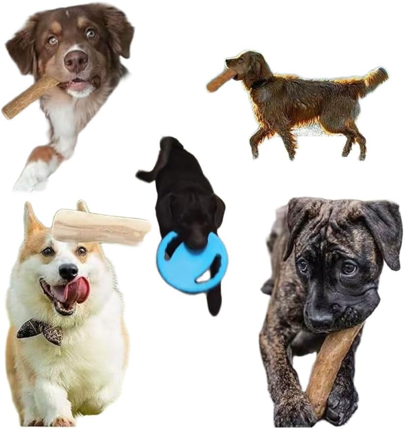 Dog Flying Disc for Pet Fun Sports Outdoor Toy for Lawn Beach, Upgraded