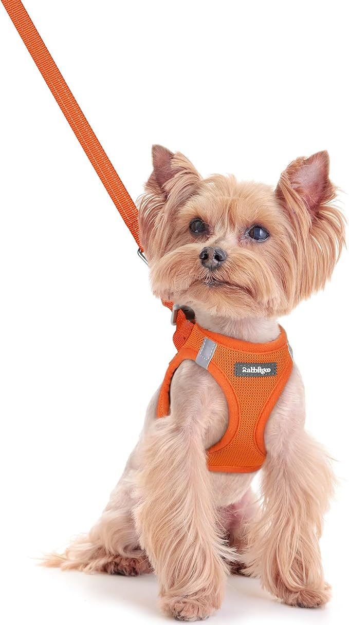 rabbitgoo Dog Harness Small Sized and Leash Set, Step-in Puppy Pet Vest | Light, Soft, Breathable Air Mesh, Easy on and Remove with Hook & Loop, Secure Reflective for Walking, Orange XXS