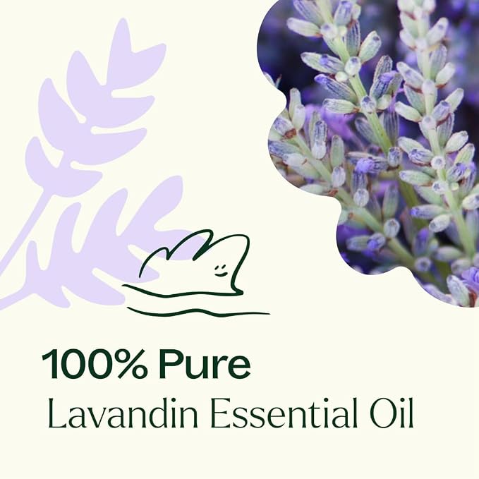 Plant Therapy Lavandin Essential Oil, 10 mL (1/3 oz), 100% Pure and Undiluted, Aromatherapy for Balance & Calm