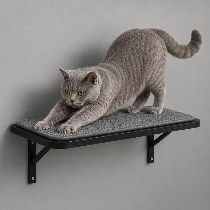 Cat Wall Shelf Window Perch, Cats Bed Hammock with Scratching Pad, Cat Shelf for Climbing Sleeping Playing,Black Furniture for Indoor Large Cats