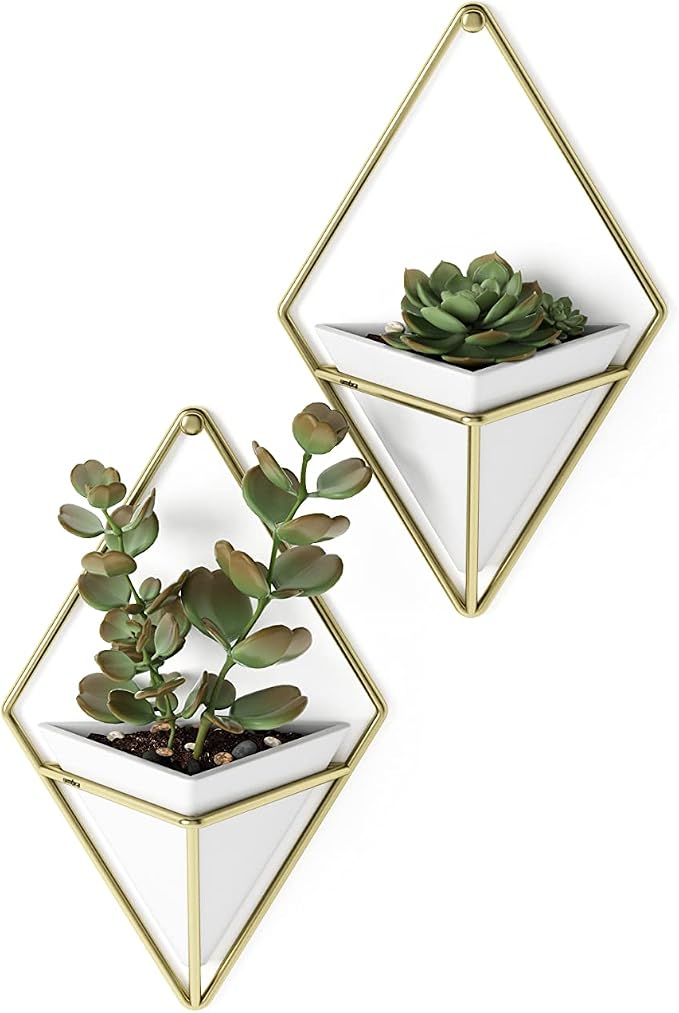 Umbra Trigg Hanging Planter for Small Plants, Set of 2, Small, White/Brass
