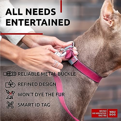 WAUDOG Long Lasting Leather Dog Collar for Large Dogs, Medium & Small Dogs - Adjustable Classic Puppy Collars for Large Breed Dogs - Boy & Girl Dog Collars with Durable Buckle, D-Ring & QR Dog Tag