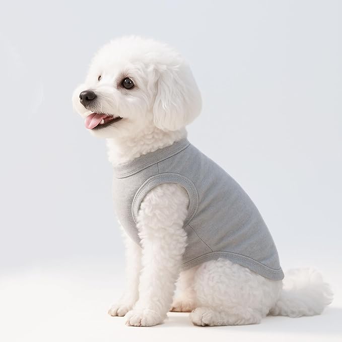 2-Pack Dog Shirts Summer Dog Clothes for Small Medium Dogs Boy, Teacup, Chihuahua, Yorkie, Pug and Cats, Solid Color Pet Tshirts Puppy Clothes, Small, Black+ Grey