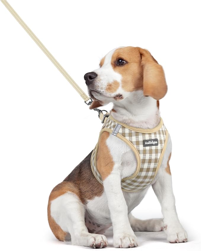 rabbitgoo Dog Harness Medium Sized and Leash Set, Step-in Puppy Pet Vest | Light, Soft, Breathable Air Mesh, Easy on and Remove with Hook & Loop, Secure Reflective for Walking, Beige Check L