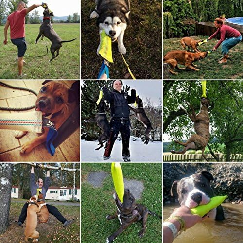 Dog Bite Tug Toy 10 inches - Durable, Interactive Toys for Medium to Large Dogs - Perfect for Tug of War, Fetch & Puppy Training - Safe Fire Hose Dog Tug with Strong Handle - Tough Floating Pull Toy