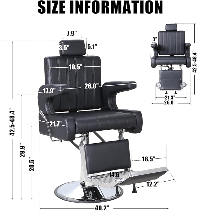 Salon Barber Chair for Hair Stylist, Reclining Beauty Chair with Heavy Duty Hydraulic Pump, 360° Swivel Hair Styling Chair for Barbershop Beauty Spa Salon Home (Black & Silver)