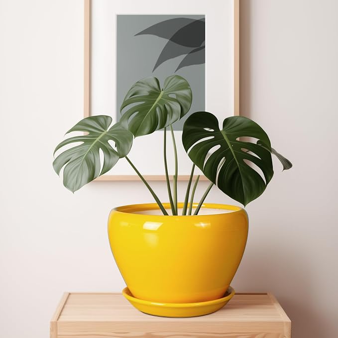 Ceramicfor Ceramic Planter - 10 Inch Plant Pot for Indoor Outdoor Plants Glaze Modern Round Planter with Drainage Hole and Saucer for Garden Office Home Room Patio Decor, Yellow