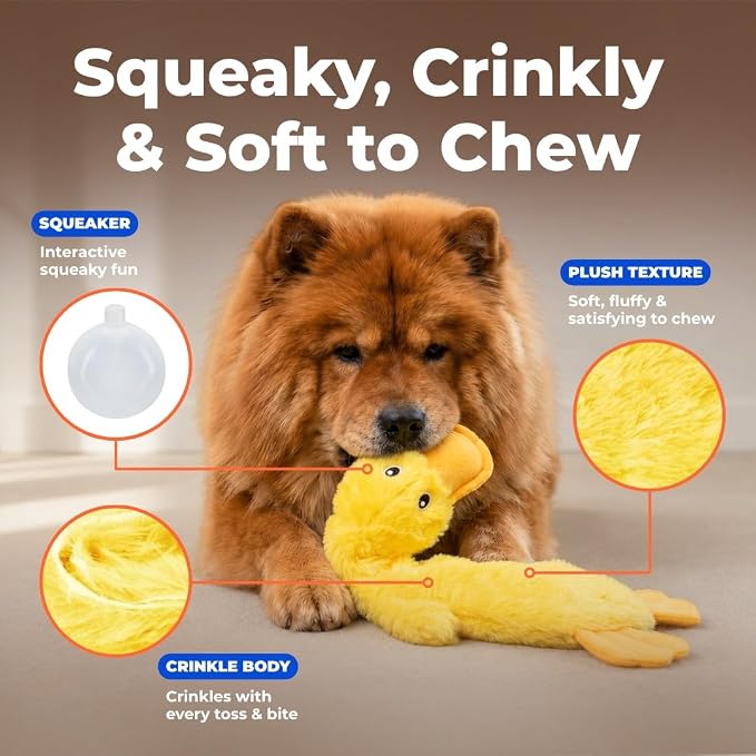 Best Pet Supplies Interactive Squeaky Dog Toy - Crinkle Duck, Yellow | Stuffing Free Body, Soft, Squeaks & Crinkles, No Mess, Perfect for Moderate Chewers, Toss and Fetch Play