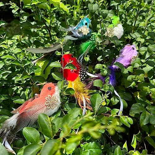 Cat Feather Toys Refill, 5 Pieces Attachments Feathers Bird for Cat Wand