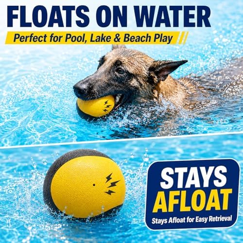 Squeaky Balls for Dogs, Interactive Rubber Fetch Toy for Small Medium Dogs