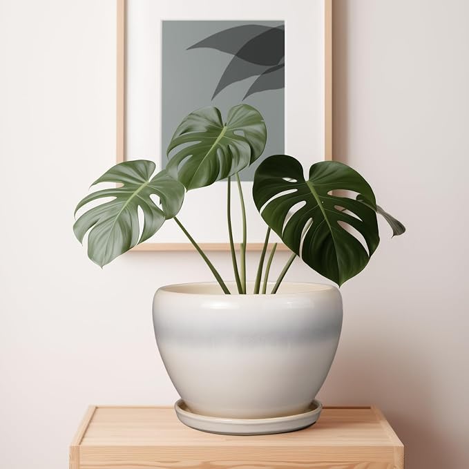 Ceramicfor 10 Inch Ceramic Planter Pot - Large Plant Pot with Drainage Hole and Saucer Round Flower Pot for Indoor Plants, White