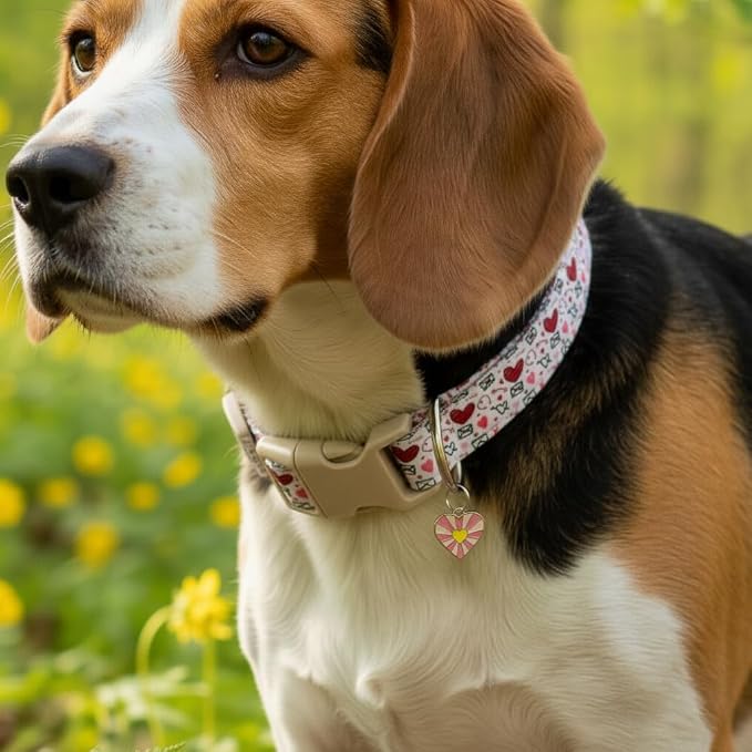 Large Dog Collar - Strong & Soft Adjustable Female Dog Collar, Fancy Heart Pattern Neckwear for Golden Retriever, Lab, Large Breeds, Perfect for Family Photos & Parties