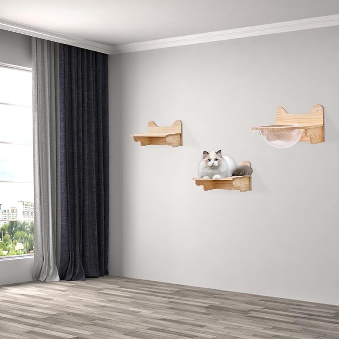 Space Capsule Style Transparent Cover Cat Bed, Wall Mounted Cats Shelf House, Small Pets Bed Toy Furniture for Living Room Pet Room, Load of 44 Lbs (Space Capsule+ 2 Jumping Platforms)