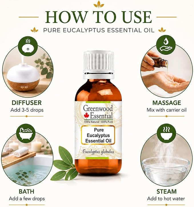 Greenwood Essential Eucalyptus Essential Oil (Eucalyptus globulus) Pure | Non-Sticky | Non-Greasy | Lightweight | Men & Women | All Skin Types | Steam Distilled 50ml (1.69 oz)