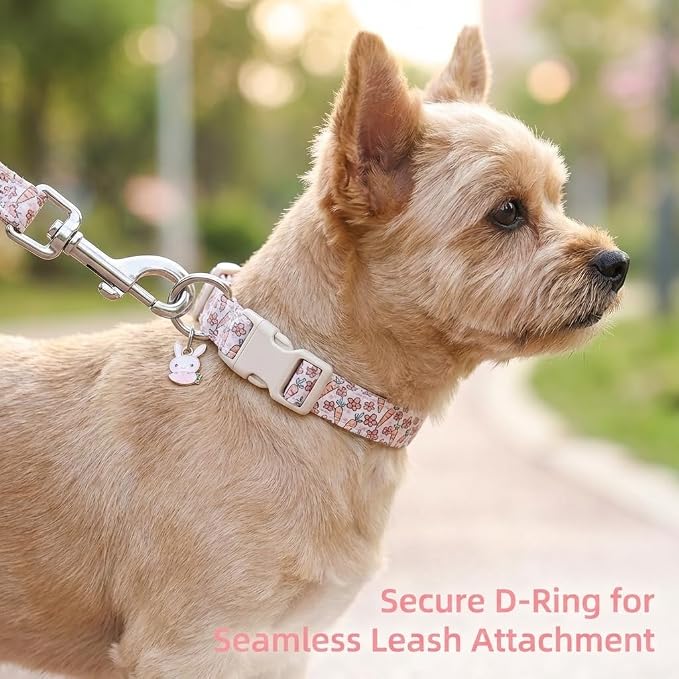 Small Dog Collar, Easter Dog Collar with Cute Easter Rabbit & Floral Pattern, Colorful Spring Dog Collar for Small Dogs, Cute Puppy Collar