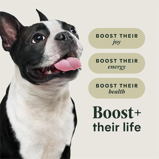 Instinct RawBoost Small Breed, Dry Dog Food + Freeze Dried, Beef, 3.5 lb. | High-protein kibble with FreshDried raw bites, nutrition for healthy weight, calcium for strong bones & teeth, grain-free