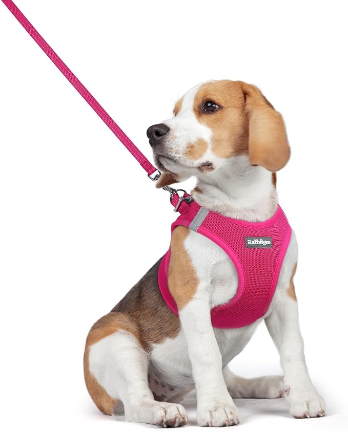 rabbitgoo Dog Harness Medium Sized and Leash Set, Step-in Puppy Pet Vest | Light, Soft, Breathable Air Mesh, Easy on and Remove with Hook & Loop, Secure Reflective for Walking, Rose Red L